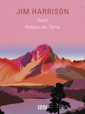 cover image of Recueil Wolf / Retour en terre